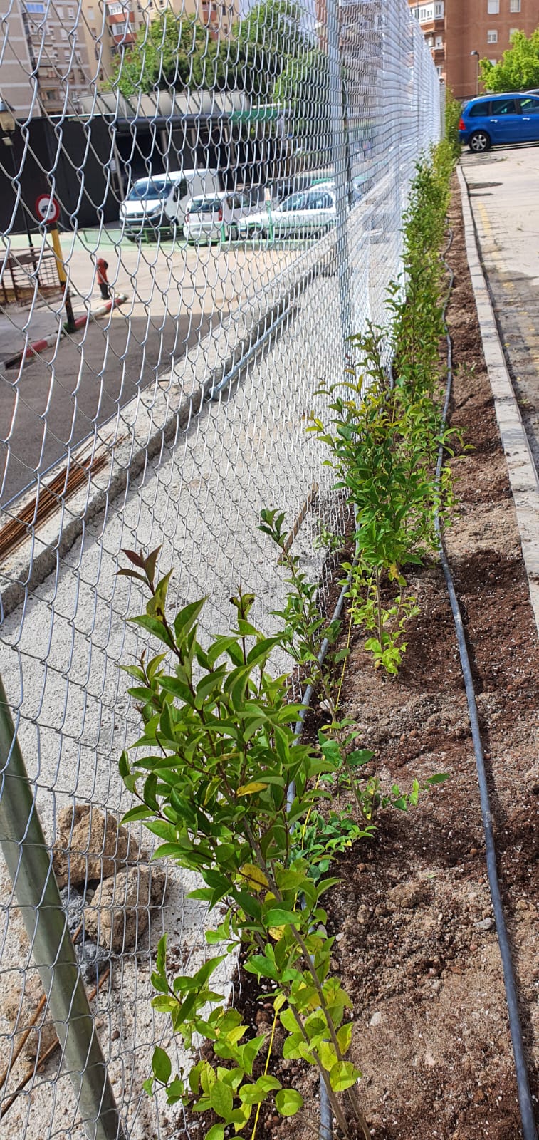 Jardinería 